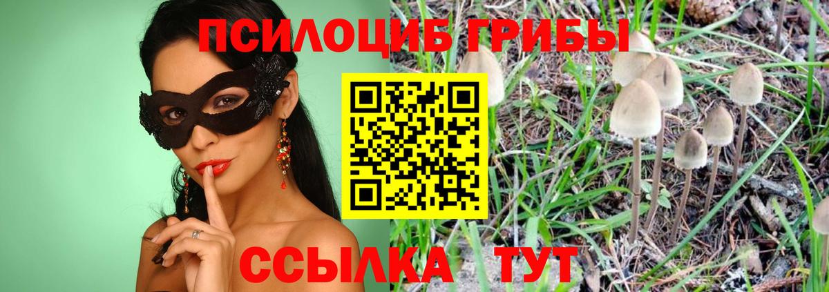 Псилоцибиновые грибы Psilocybe  цена наркотик  Вход с VPN  Саров  Псилоцибиновые грибы Cubensis 